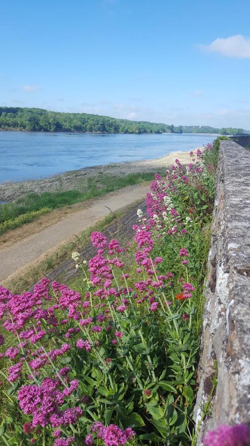 Апартаменти Le Cosy Loire Appart Les Rosiers-sur-Loire Екстер'єр фото