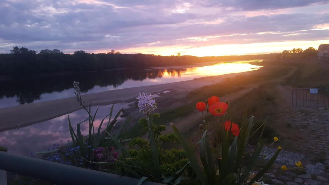 Апартаменти Le Cosy Loire Appart Les Rosiers-sur-Loire Екстер'єр фото